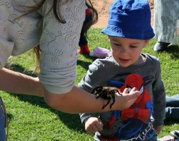AbacusKidz Educational Shows-36